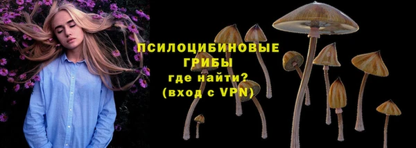 a pvp Верея