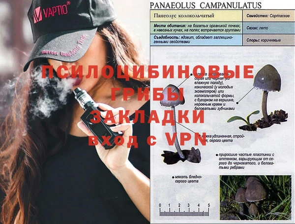 a pvp Верея