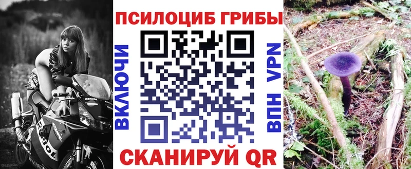 Галлюциногенные грибы мицелий  Вытегра 